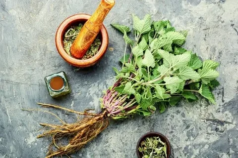 تصویر 4 از خرید بادرنجبویه خشک شده + قیمت فروش استثنایی